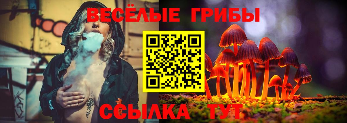Усть-Кут  закладки  Вход с VPN  Галлюциногенные грибы прущие грибы 